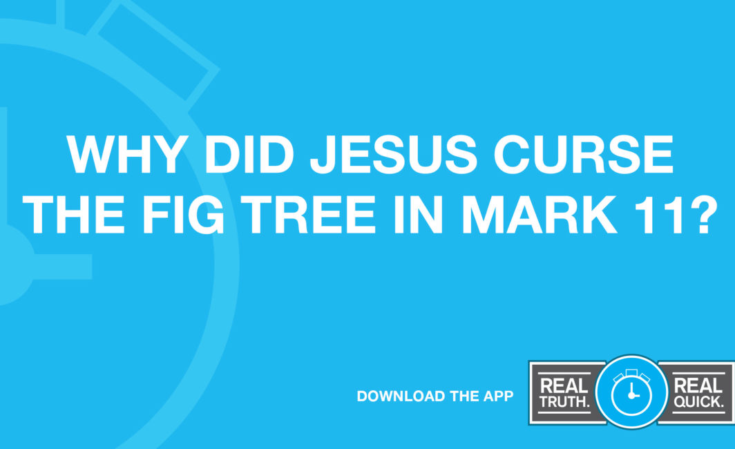 why did Jesus curse the fig tree