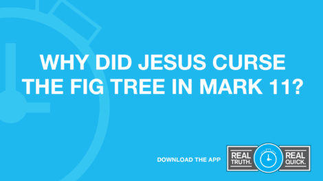 why did Jesus curse the fig tree